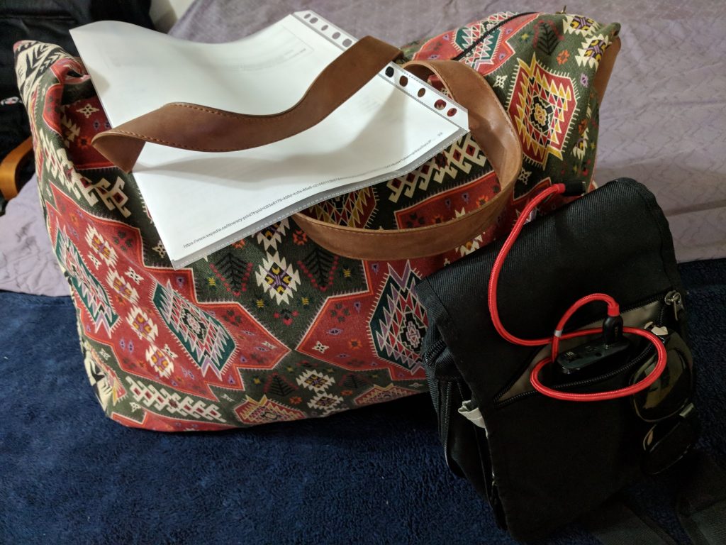 Packing Bags