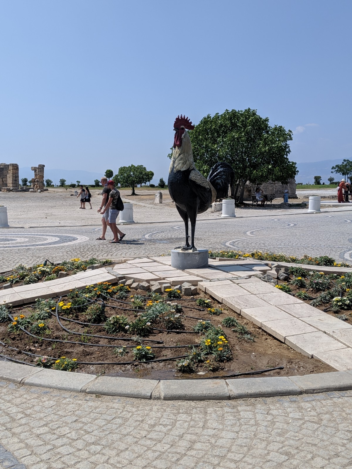 Pamukkale Rooster