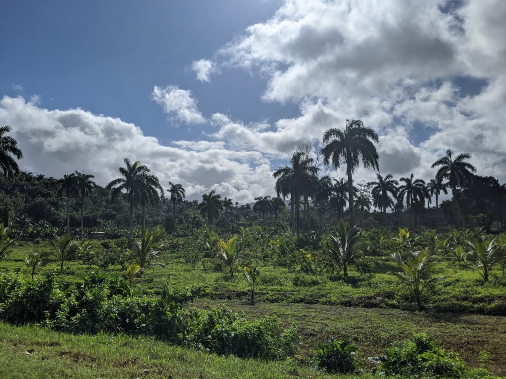 Baracoa