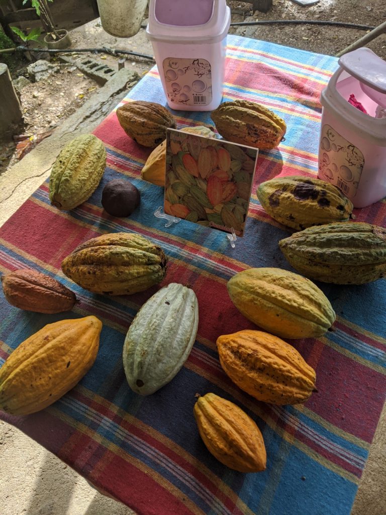 Baracoa Cocoa