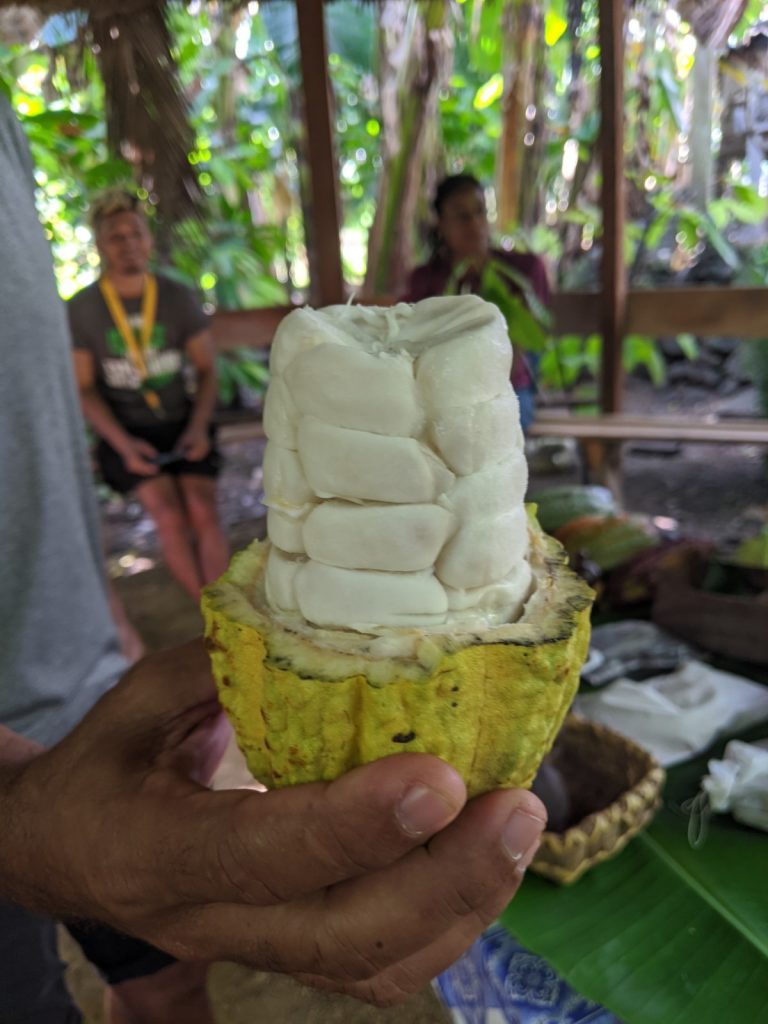 Baracoa Cocoa