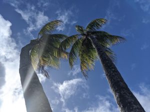 Baracoa