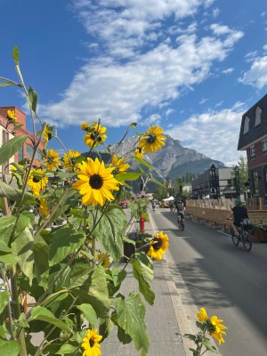 Long Weekend in Banff Recap (2021)