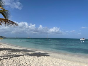 Palm Beach