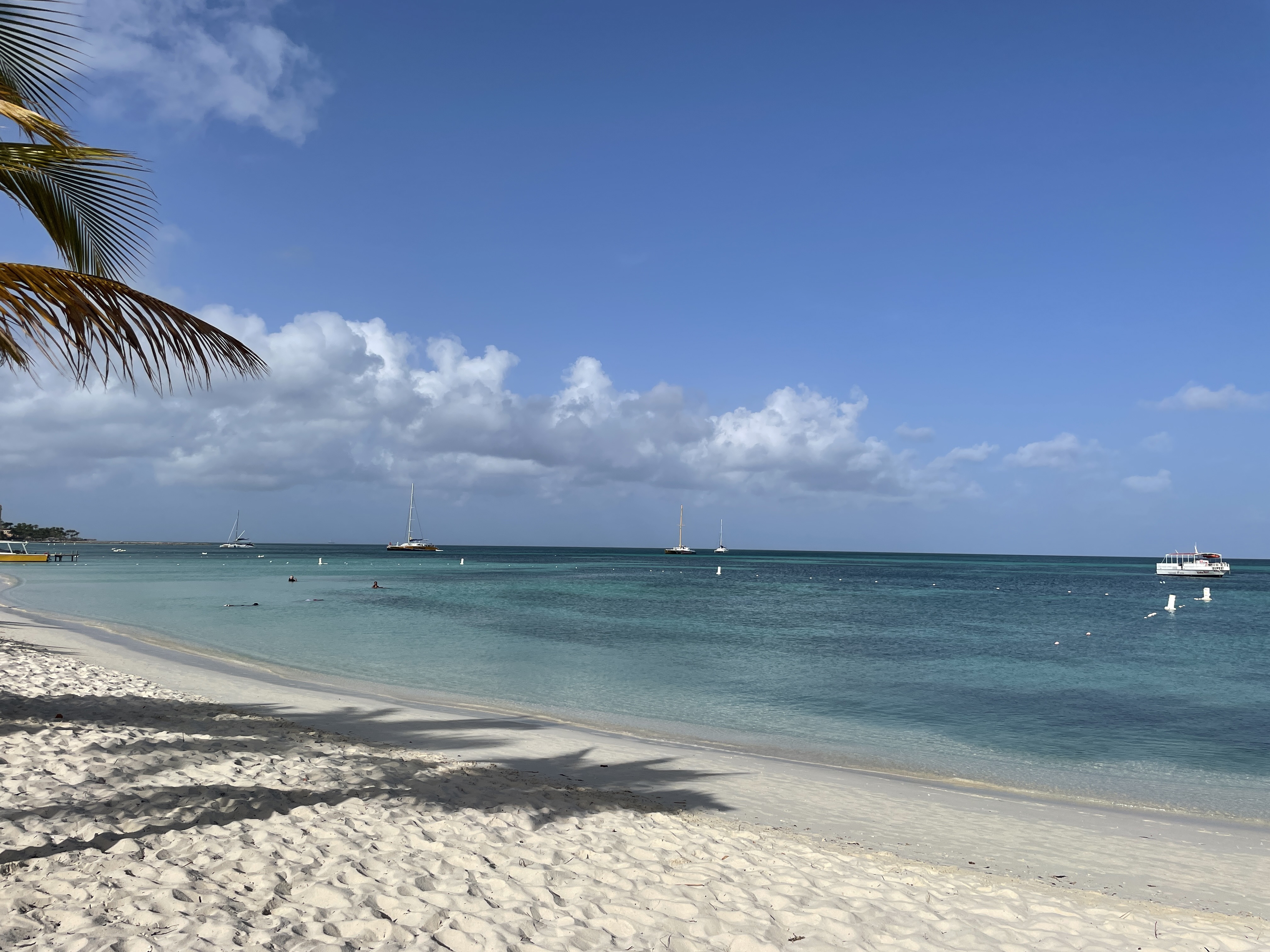 Palm Beach