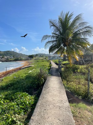 One Week in Jamaica Recap (2021)