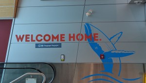 3 Days in Newfoundland Recap