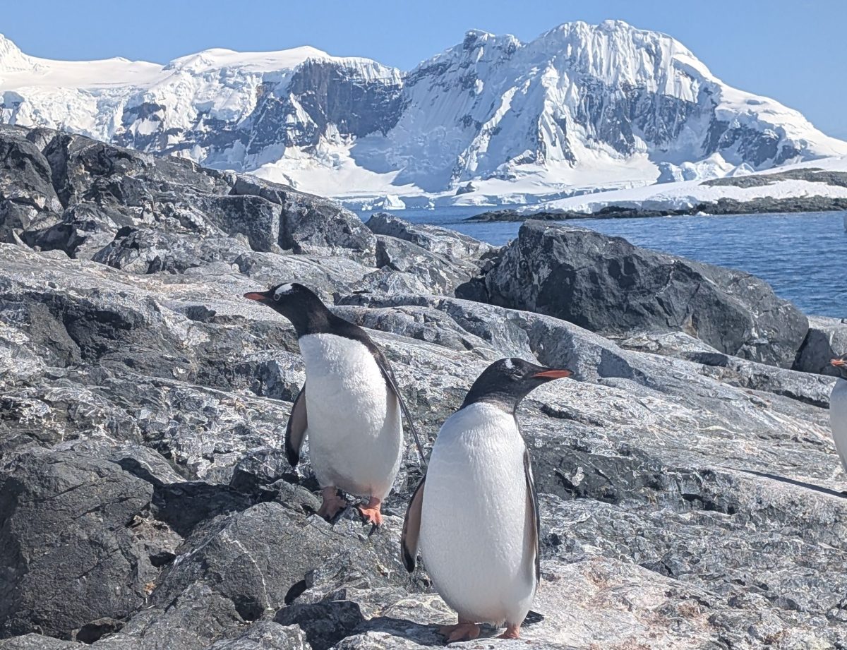 Antarctica Recap
